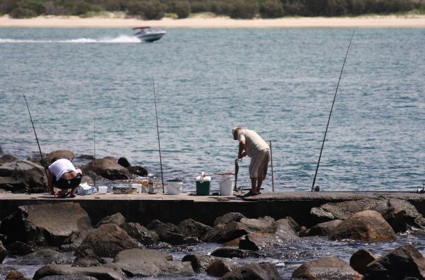 Survey: Big numbers going fishing